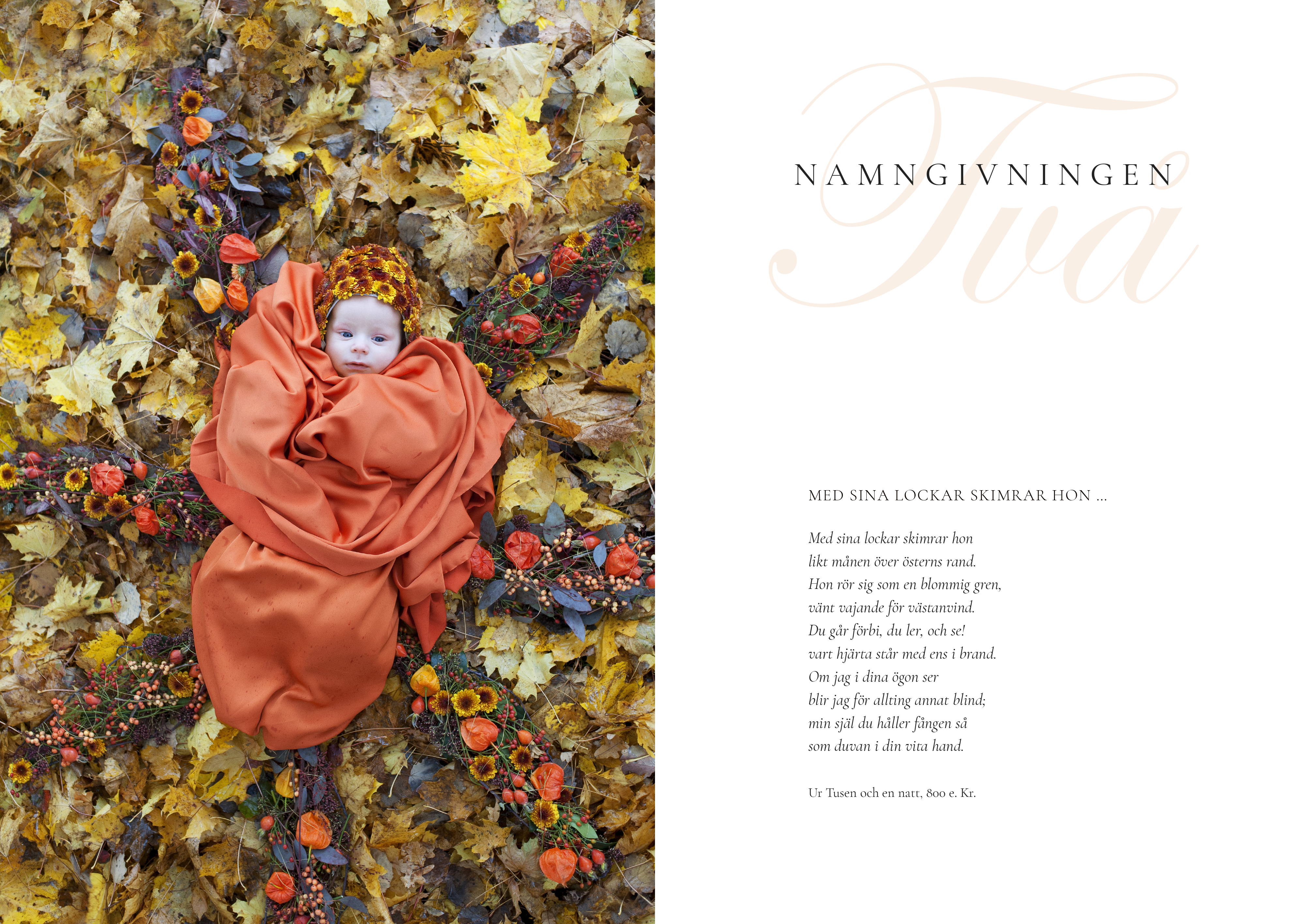 Namngivningen