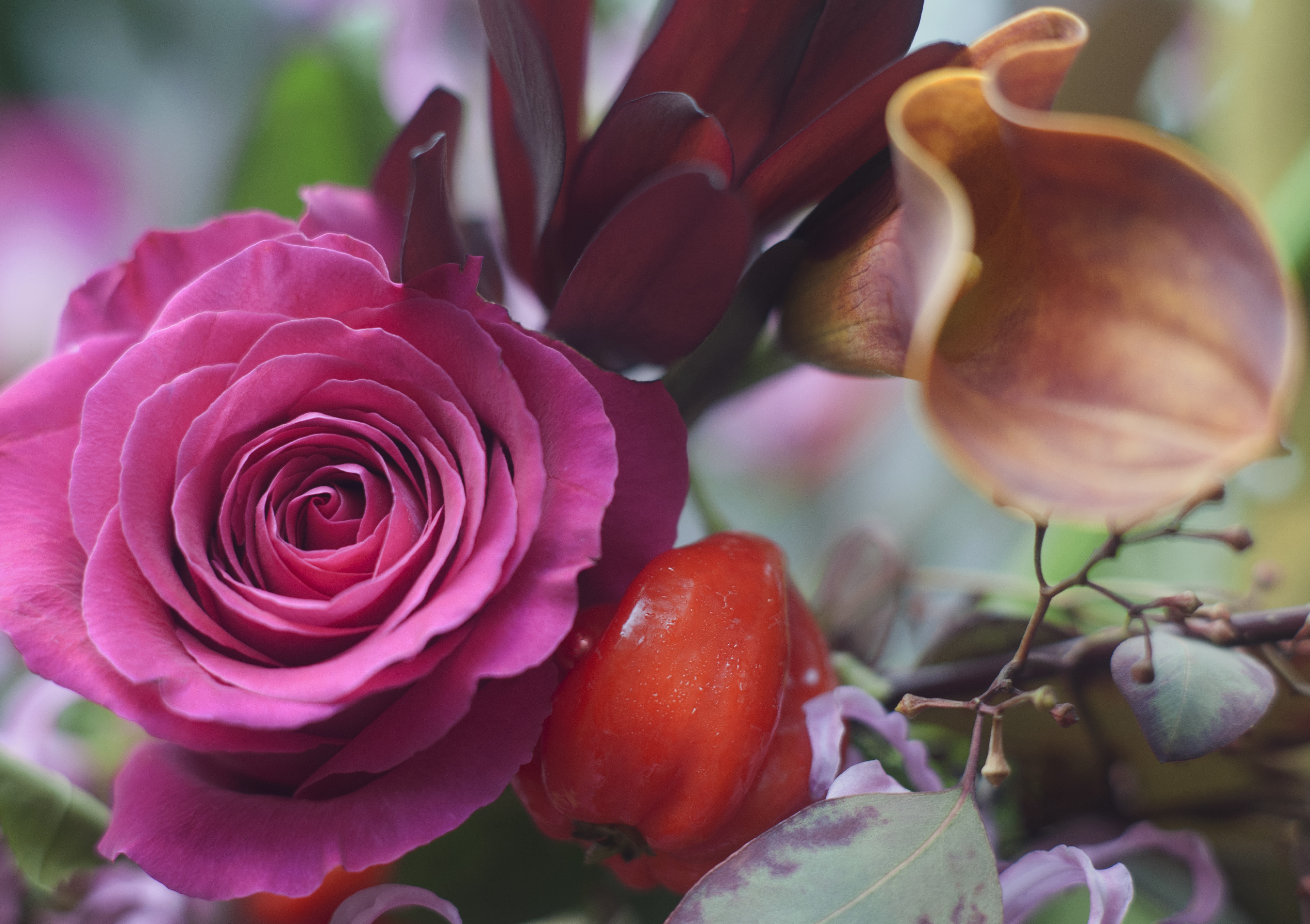 Menopausen och andropausen